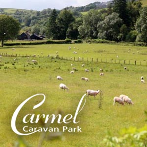 Carmel Caravan Park